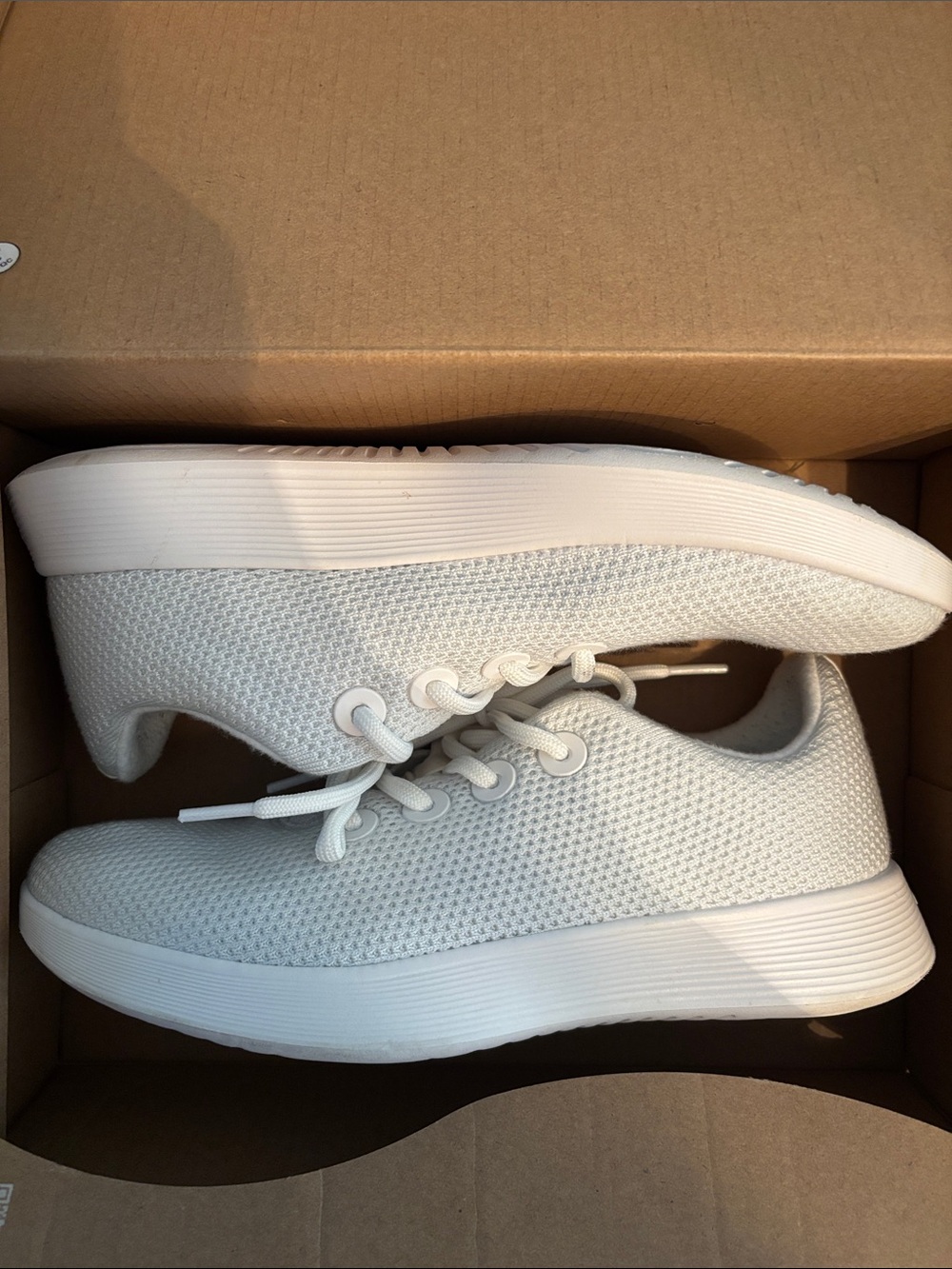 allbirds Women's White Knit Lace-Up Sneakers 9 1/2